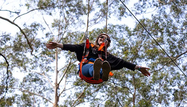 Zipwire Ticket3