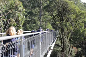 Treetopwalkschools