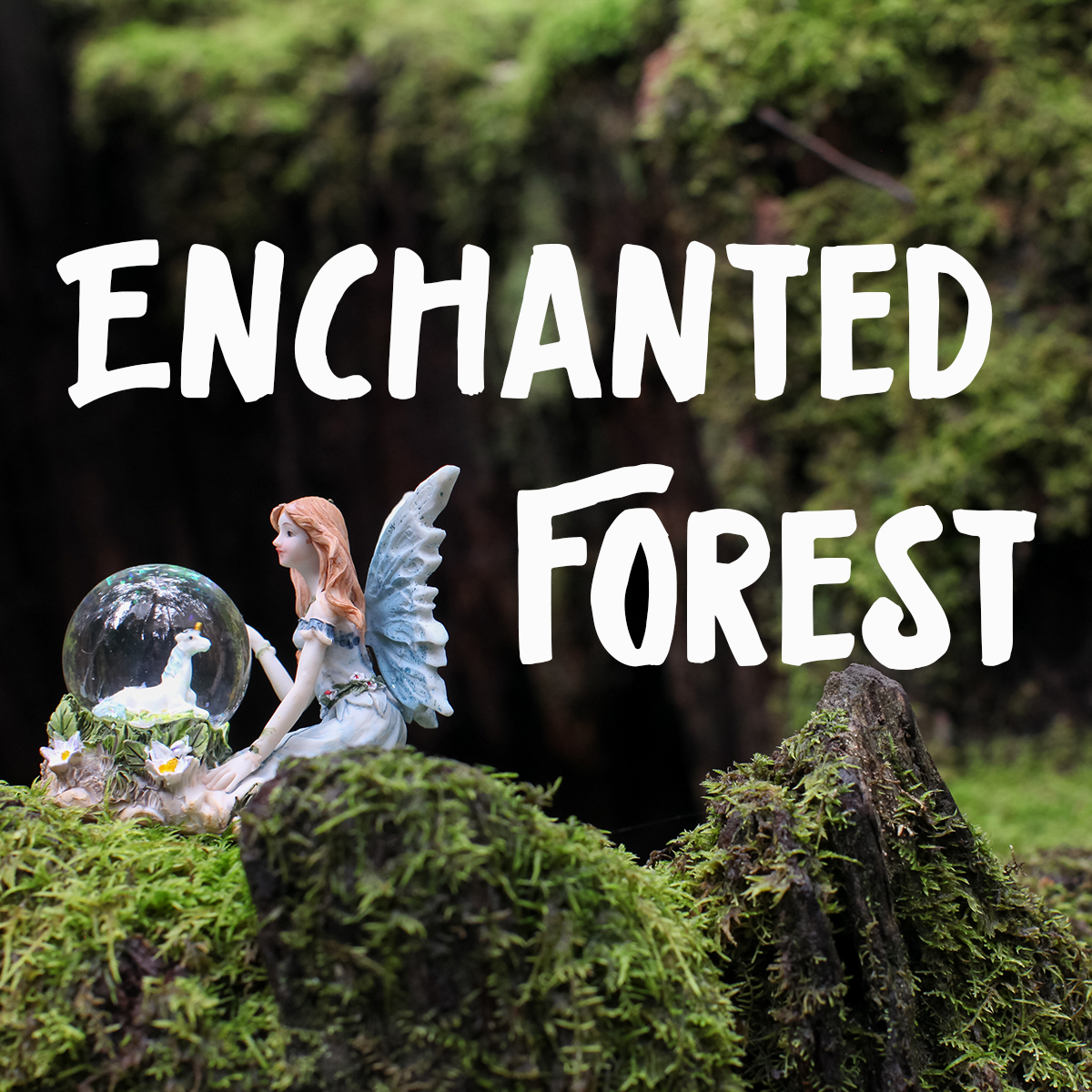 Otwayflytreetopadventures Enchantedforest Copy