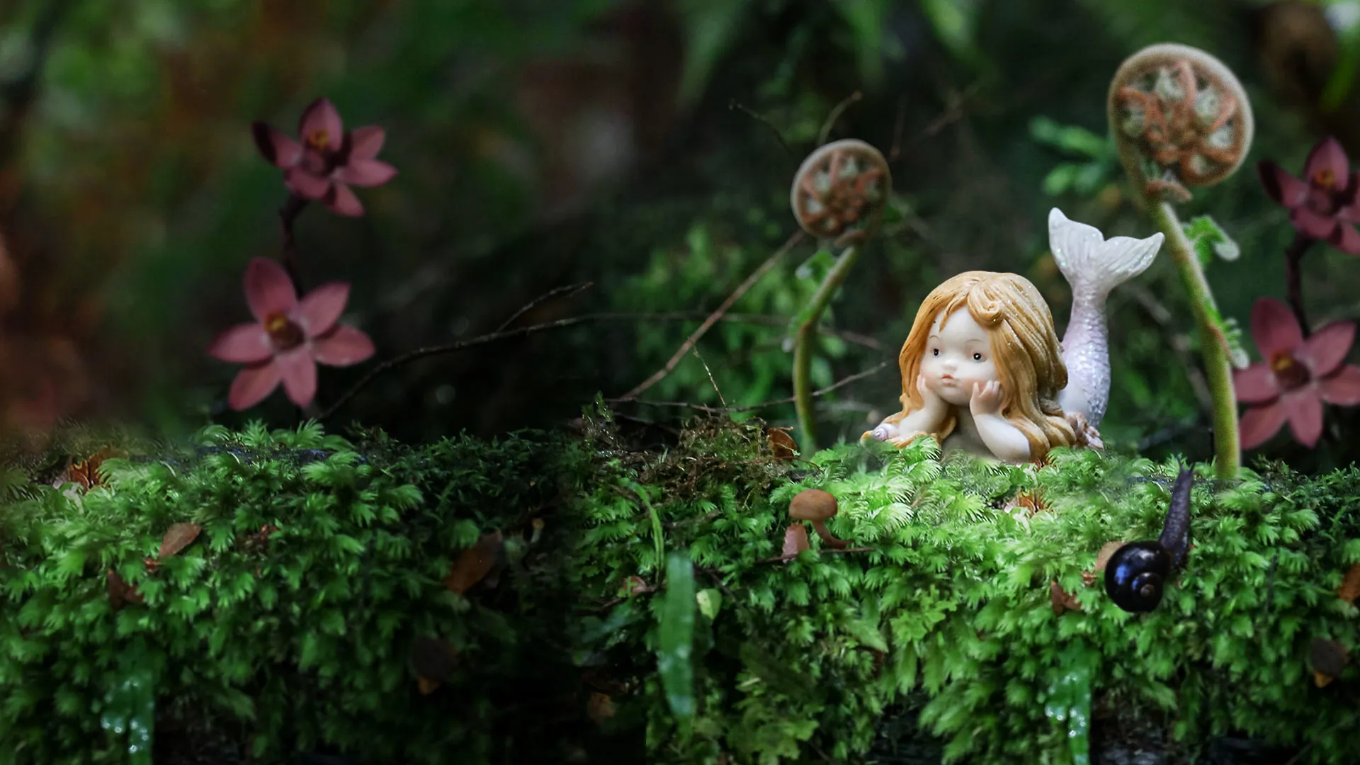 Fairy Village, Tree Top Walk