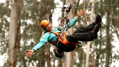 Zipline 19